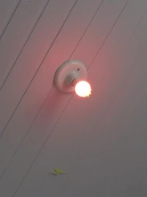 Light-Bulb Rgb-Lamp Timer-Function Dimmable Wifi Smart White Alexa/google Home B22 E27