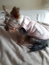 Fleece Vest Suit Coat Jackets Clothing Pet-Dog-Clothes New-Supplies Small Dog Winter