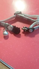 Pet-Cat-Collar Puppy-Accessories-Supplies Kitten Bell Adjustable 