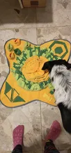 Dog Puzzle Toys Feeder Intelligence-Toy Games Snuffle-Mat Slow-Dispensing Puppy-Training