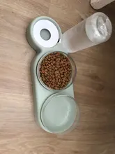 Cuenco para gato mascota doble cuencos de comida alimentador de agua con Auto dispensador de agua perro gato comida beber planteado soporte plato tres cuencos