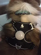 Led-Light Backpack Harness Collar Truelove Safety for Pet-Wear with Water-Resistant And