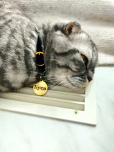 Collar de gato flocado para gatitos y mascotas, suministros