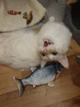 Electronic Cat Toy 3D Fish Electric Simulation Fish Toys for Cats Pet Playing Toy cat