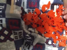 Farming-Equipment Chicken-Goggles 200pcs Pheasant No-Bolt Polyethylene Wholesale