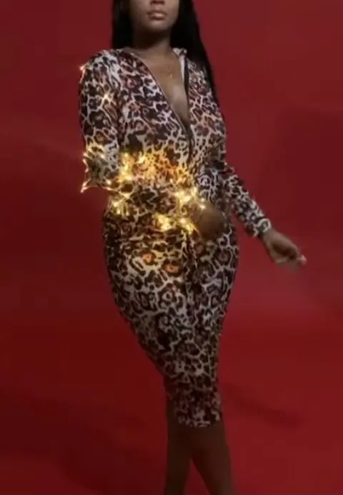 2019 Sexy Leopard Dress Women Long Leopard Print Pencil Woman Dress High Waist Lady Leopard Party Dress Women Elegant Dresses reviews №1 457922