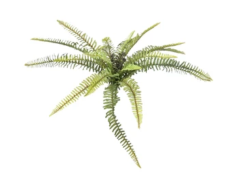 

EUROPALMS Forest fern, artificial plant, 40cm