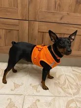 Reflectante y transpirable collar para perros y gatos arnés Correa chainset szelki dla psa arnes para perro accesorios coleira cachorro mascota