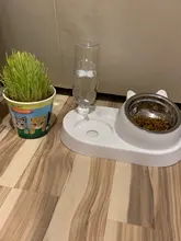 Multi-Functional-Feeder Drinking-Bottle Water-Dispenser Puppy Dog-Food-Bowls Cats Automatic Feeding