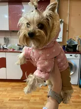 Overalls Fleece Dogs Winter for Star Corduroy Teddy XS M XL