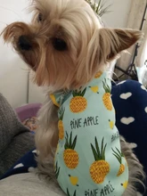 Vestido bonito de fruta para perros, Ropa de verano para pareja de mascotas, chaleco para perros pequeños, Chihuahua