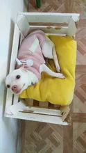 Ropa de invierno para perros, chaquetas de ante, chaleco polar cálido, pequeño abrigo de perro, motocicleta, abrigo, ropa, abrigos para mascotas