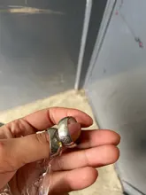 Modyle-anillos de acero de titanio para hombres y mujeres, anillo vintage de Dios árabe, con palabras islámicas musulmanas, de moda