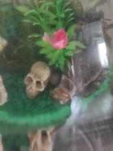 Ornament Terrarium-Decoration Simulation-Statue Skull Aquarium Fish-Tank Reptile Cave