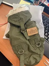 Chaqueta con capucha para gatos domésticos y perros, abrigo cálido para invierno, para perros medianos y pequeños, Chihuahua, ropa ligera