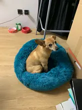 Saco de dormir en invierno para mascotas, caseta de lecho de gatos y perros supersuave, saco de dormir largo y afelpado para cachorros, esterilla portátil, tamaño de 46/50/60cm