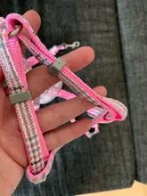 Leash-Set Pet-Products Dog-Harness Dogs Adjustable Small Chihuahua Walking Nylon And