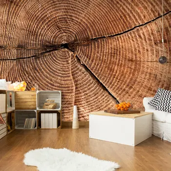 

Wall mural-cross section of a trunk-350x270 cm