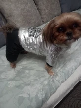 Jumpsuit Pet-Costumes Cotton-Padded Silver-Color Dogs Waterproof Winter Fashion for Hoodie