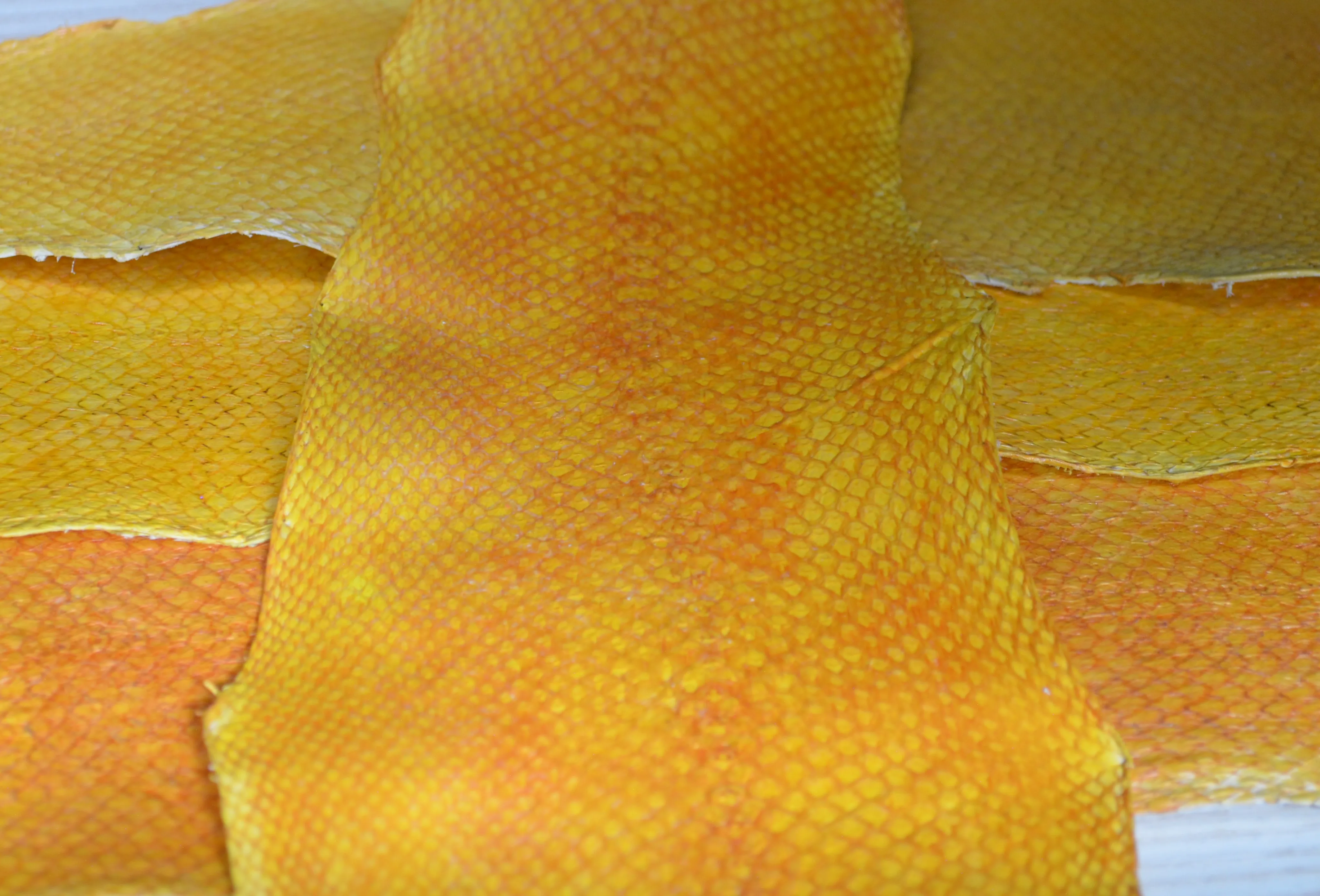 рыбья кожа. кожа рыб 5. кожа рыбы. шкура рыбы. изделия из кожи рыбы.