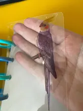 Pegatinas decorativas para manualidades, adhesivos de animales, mariposas, pájaros, Libélula, peces, creativo, bonito, PVC transparente, adhesivo de papelería, 30 unidades