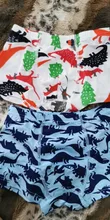 Boys Panties Underwear Children Briefs Short Cotton Cartoon Cute Year 2pcs/Lot 1-12