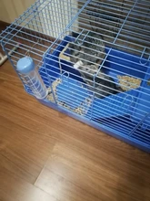 Hamster Squirrel Teeth Grinding Mineral Stone Chinchilla Rabbit Cage Accessories