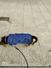 Ropa vaquera de XS-2XL para perro, abrigo para perros, ropa de cachorro, pantalones vaqueros para perro, chaqueta, chaleco abrigo para perro, trajes para cachorro, ropa para gato