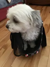 Bolso de viaje para mascotas, bolsa de hombro tipo Oxford de malla, cómoda, bolso grande de hombro