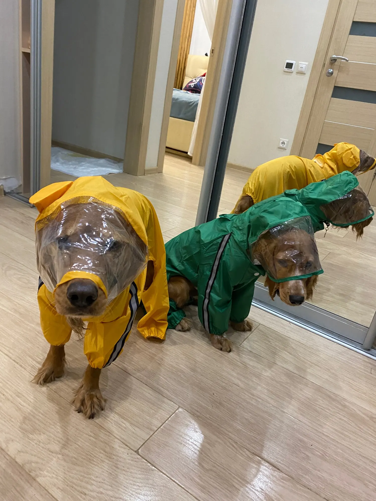 Dog Fourlegged Bee Shaped Raincoat Variety Size Raincoat for Dog