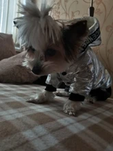 Jumpsuit Pet-Costumes Cotton-Padded Silver-Color Dogs Waterproof Winter Fashion for Hoodie