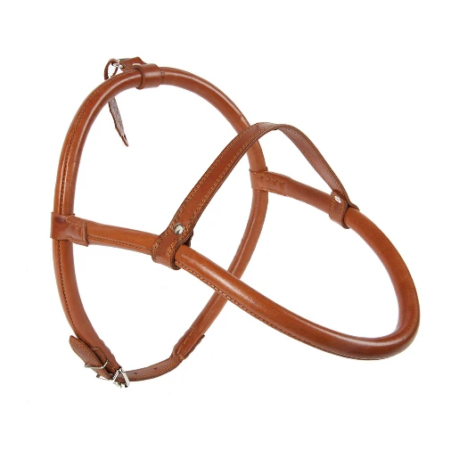 Шлейка Для Шпица Купить В Москве