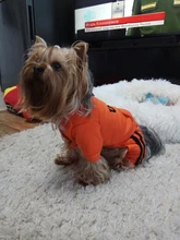 Jumpsuit Clothing Hoodies Jacket Pet-Dog-Coats Small Dogs Sport Apparel Winter Fashion