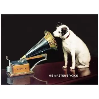 

Hmv (metal license plate large) HALF MOON BAY7.15