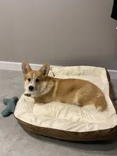 Pet-Bed House Kennel-Mat Puppy Washable Small Warm Large Dog Soft Cotton Medium Bone