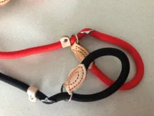 Rope-Belt Pet-Products Dog-Harness Dog-Lead-Leash Lightweight Nylon Training Walking