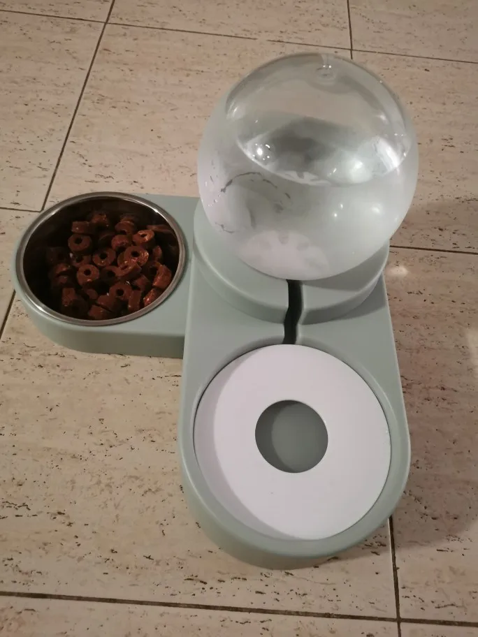 Dog Perfect Bubble Bowl - Automatic Water Drinking photo review
