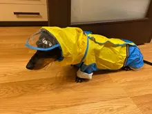Jumpsuit Raincoat Pet-Cloak Teddy Waterproof-Jacket HOOPET Dogs Chihuahua for Small Cat