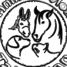 R***i