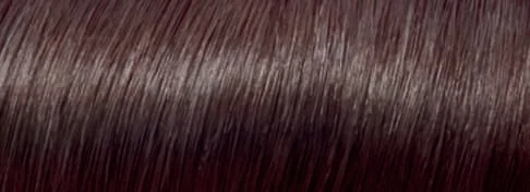 L'Oreal Paris Стойкая краска для волос "Preference", оттенок 5.21, Нотр-Дам