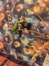 8Pcs/Set Bird Parrot Toys Wooden Hanging Swing Hammock Climbing Ladders Perches