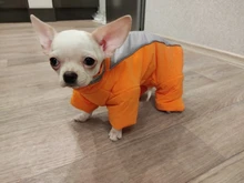 Winter Overalls for Dogs Warm Waterproof Pet Jumpsuit Trousers Male/ Female Dog Reflective