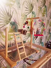 Perch-Stand Ladder Feeder Playground Bird Parrot with Wooden Platform Gym Cups Interactive-Toys
