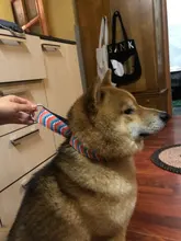 Personalized Fabric Super Strong Durable Martingale Collars for Dogs Heavy Duty Duty