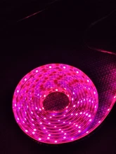 USB Phytolamps for Plants 5V LED Grow Light Strip 2835 Chip 1m 2m 3m LED Phyto Tape 