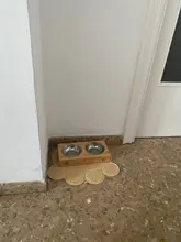 Drinking-Bowls-Combination Puppy TECHOME Bamboo-Frame Stainless-Steel/ceramic-Feeding