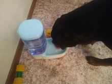 3.8L Pet Cat Automatic Feeders Large Capacity Cat Water Fountain Plastic Dog Water Bottle