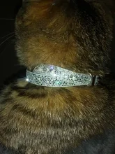 Strap Cat-Collar Kitten-Accessories Puppy Rhinestone Shining SUPREPET Diamond Dog 
