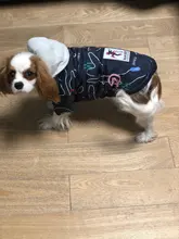 Pet Dog Winter Coat Small Dog Clothes Warm Dog Jacket Puppy Outfit Dog Coat Chihuahua