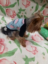 2020 verano nuevo cachorro de perro lindo chaleco ropa de gato plátano sandía fruta lindo algodón camiseta ropa para mascotas ropa de perros mediano
